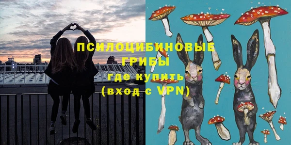 стафф Аркадак