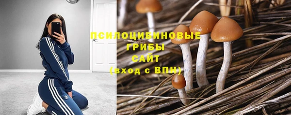 стафф Аркадак